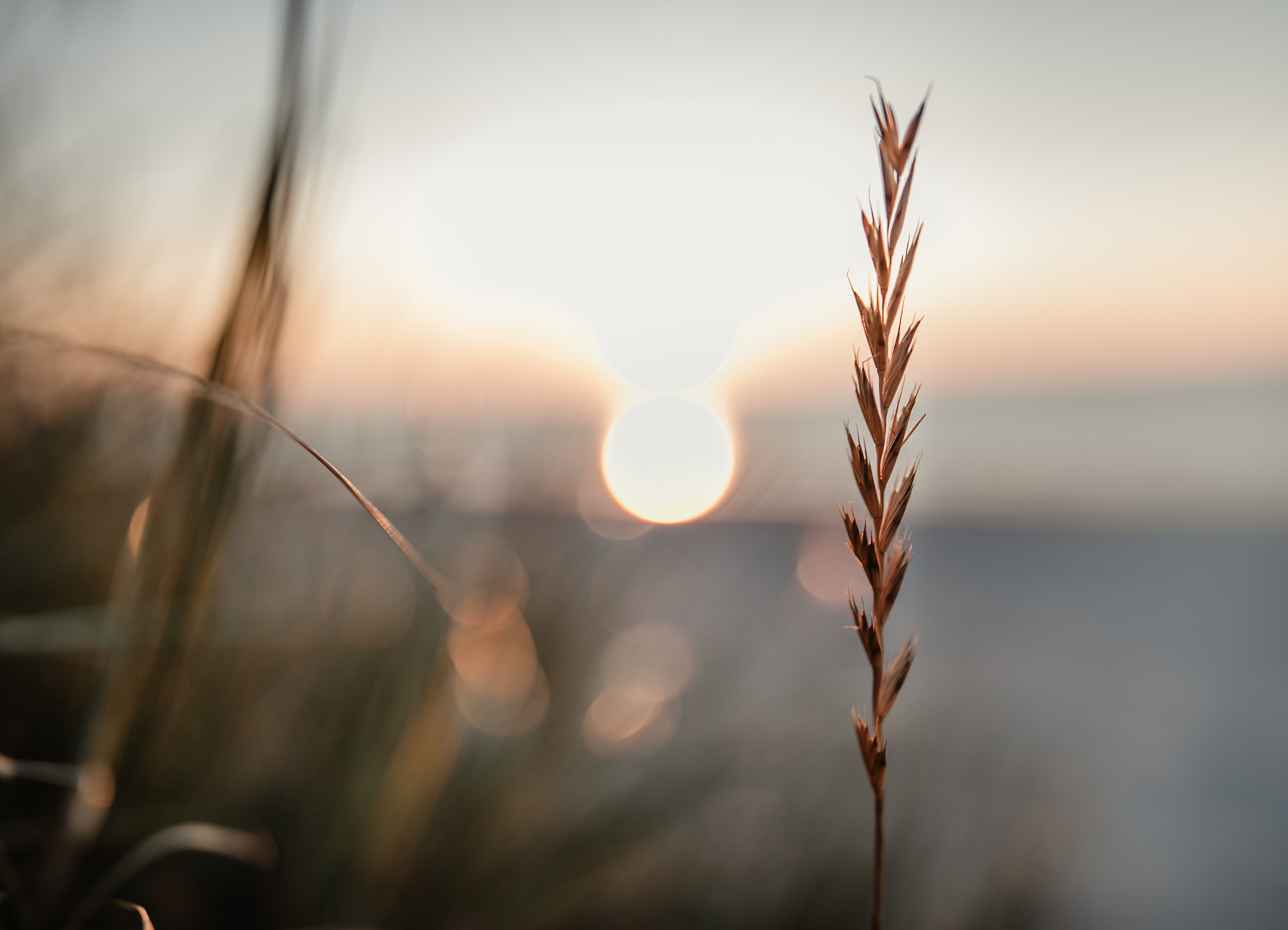 Norderney Impression 6