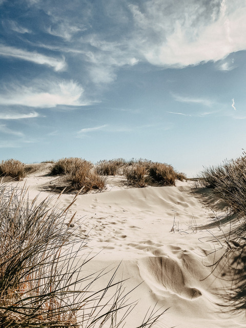 Norderney Impression 8